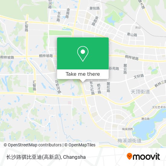 长沙路骐比亚迪(高新店) map