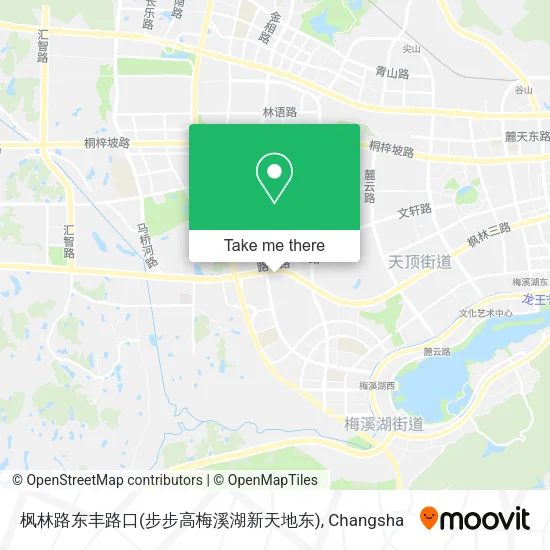 枫林路东丰路口(步步高梅溪湖新天地东) map