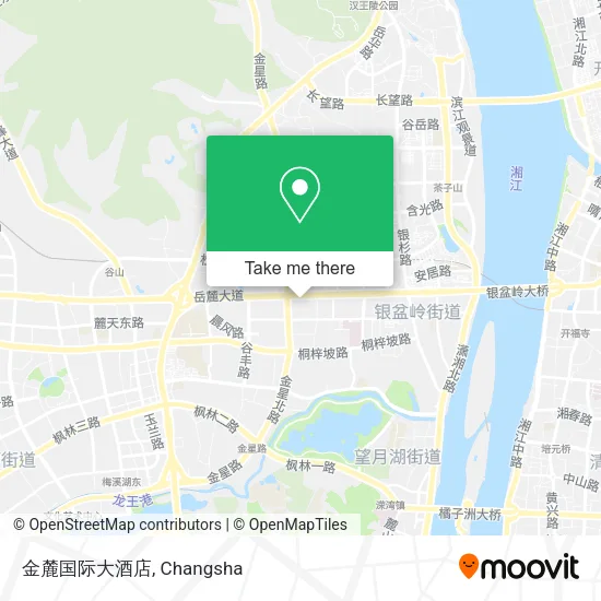 金麓国际大酒店 map
