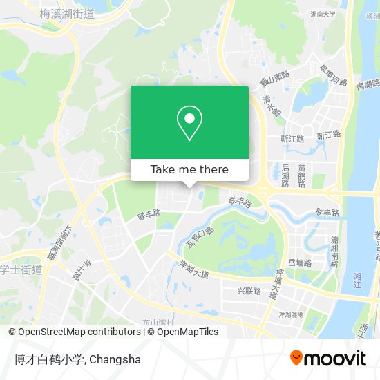 博才白鹤小学 map