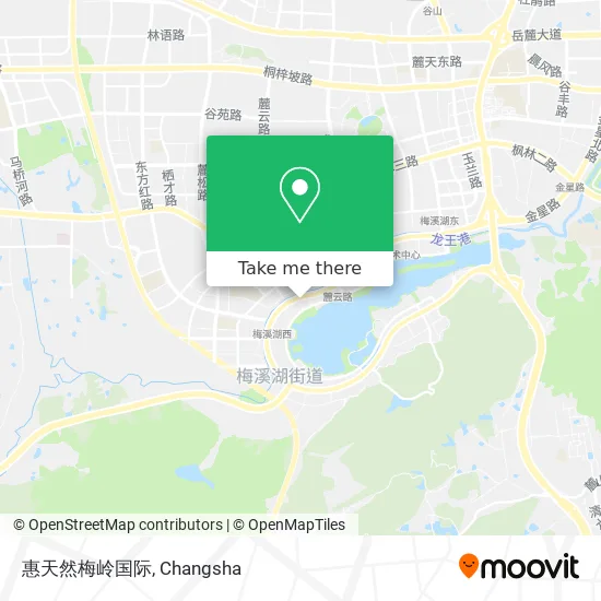 惠天然梅岭国际 map