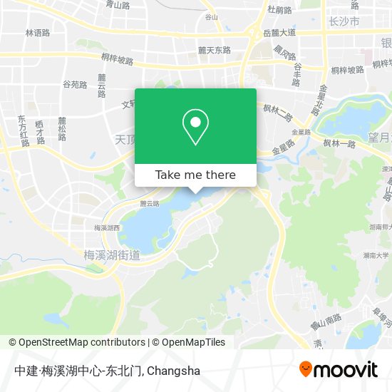 中建·梅溪湖中心-东北门 map