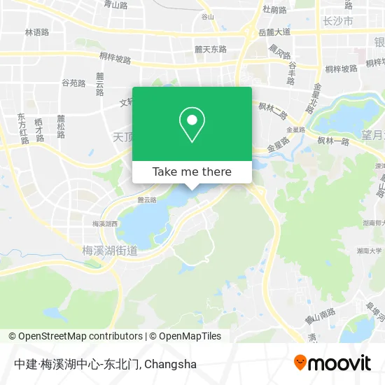 中建·梅溪湖中心-东北门 map
