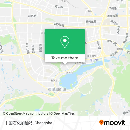 中国石化加油站 map