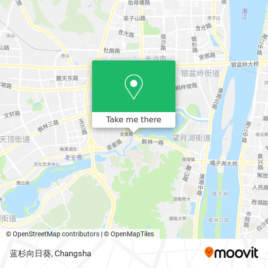 蓝杉向日葵 map