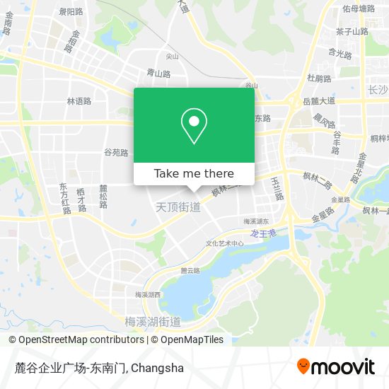 麓谷企业广场-东南门 map