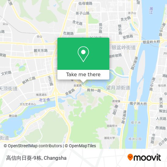 高信向日葵-9栋 map
