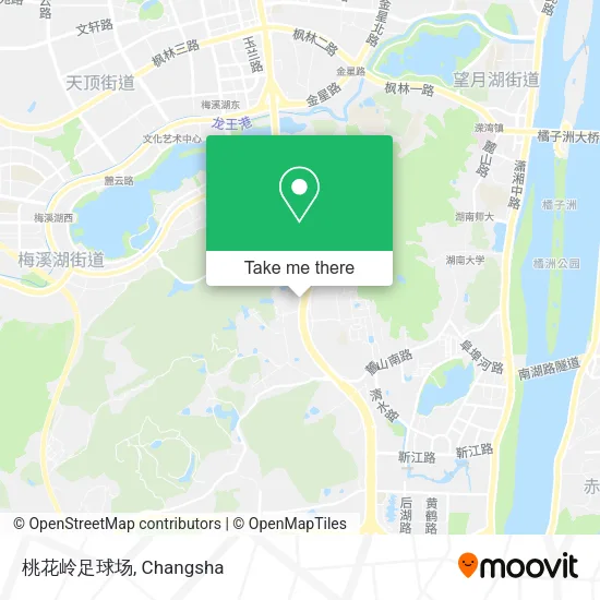 桃花岭足球场 map