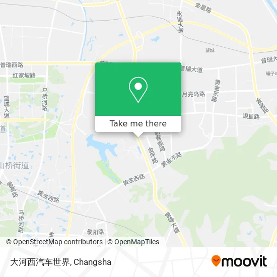 大河西汽车世界 map