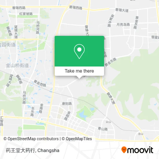 药王堂大药行 map