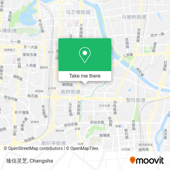 臻信灵芝 map