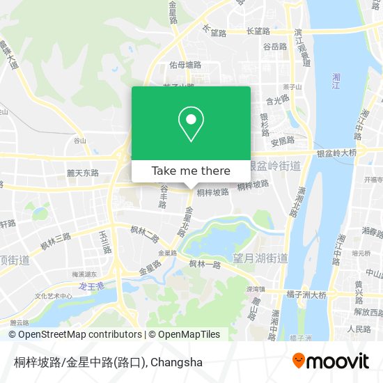 桐梓坡路/金星中路(路口) map