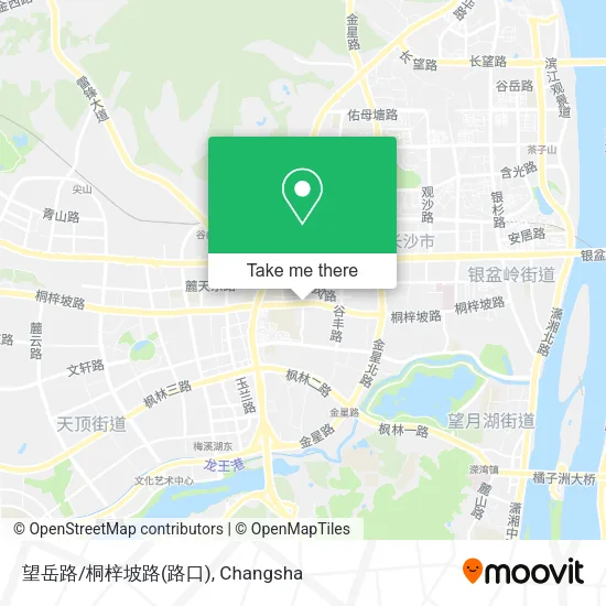 望岳路/桐梓坡路(路口) map