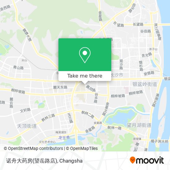 诺舟大药房(望岳路店) map