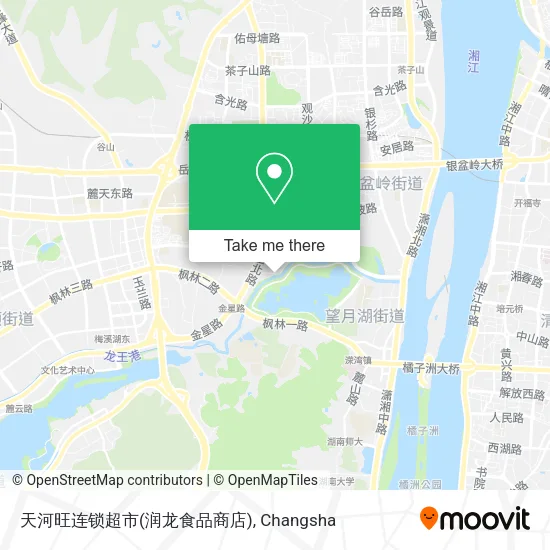 天河旺连锁超市(润龙食品商店) map