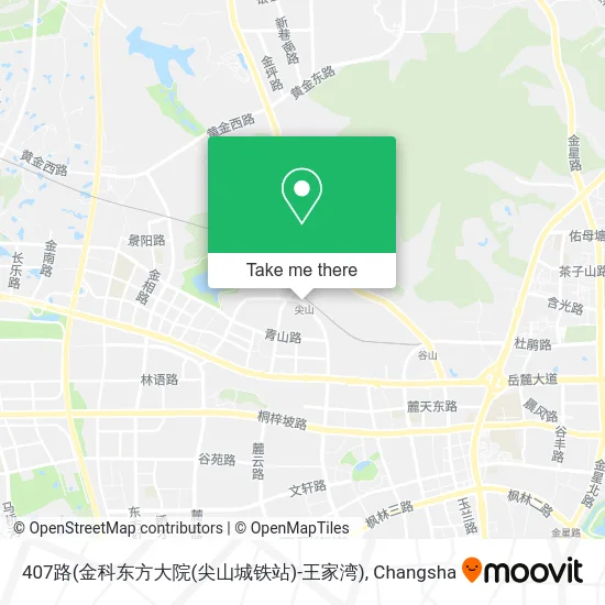 407路(金科东方大院(尖山城铁站)-王家湾) map