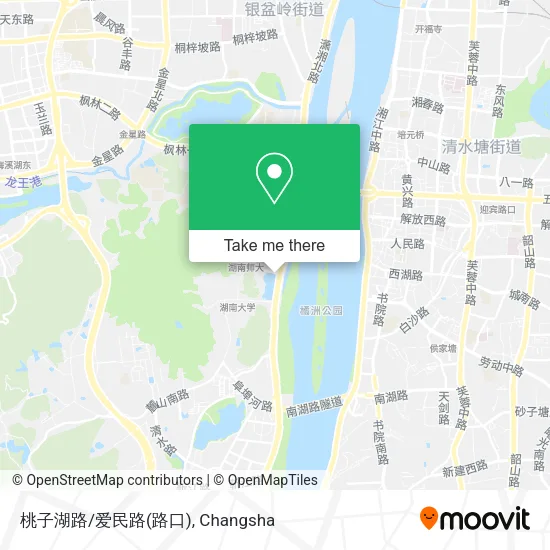 桃子湖路/爱民路(路口) map
