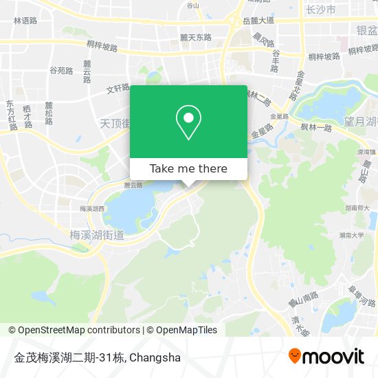 金茂梅溪湖二期-31栋 map