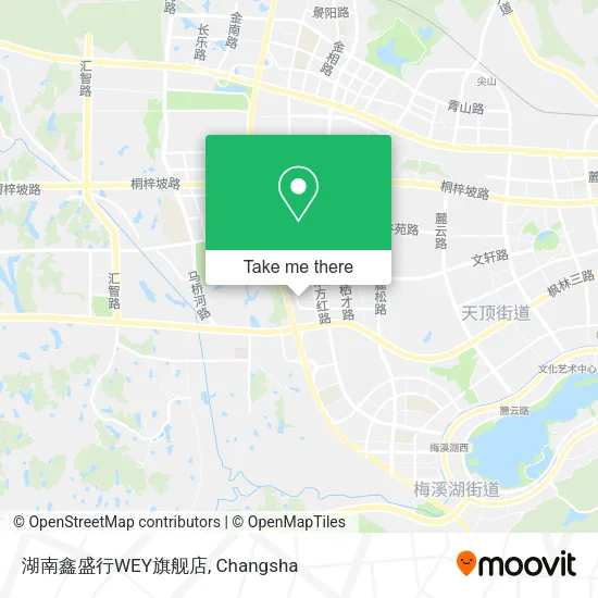 湖南鑫盛行WEY旗舰店 map