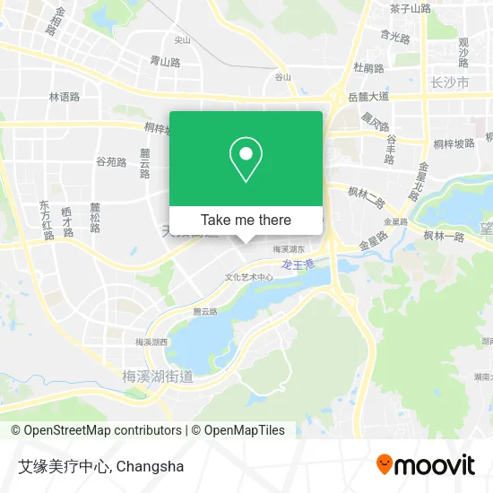 艾缘美疗中心 map