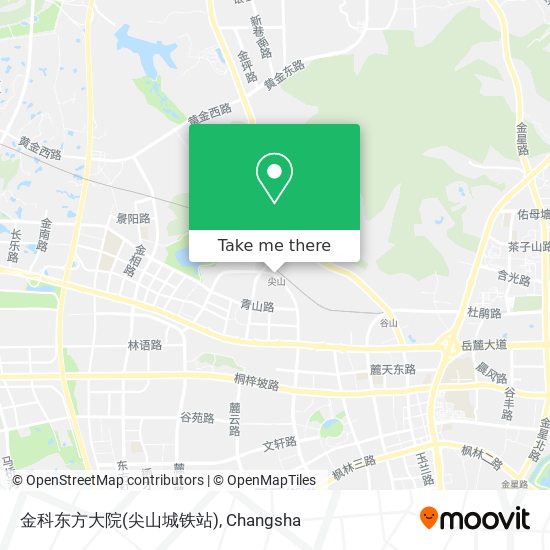 金科东方大院(尖山城铁站) map