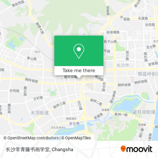 长沙常青藤书画学堂 map