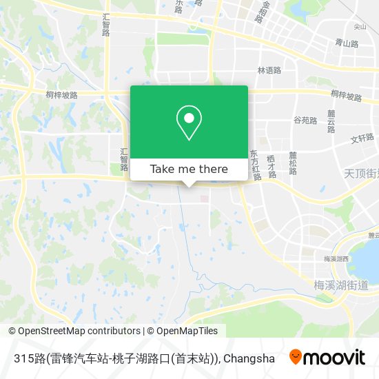 315路(雷锋汽车站-桃子湖路口(首末站)) map