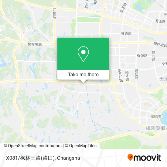 X081/枫林三路(路口) map