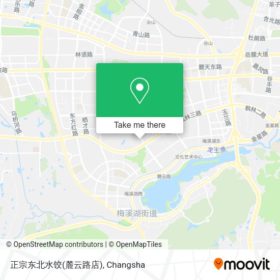 正宗东北水饺(麓云路店) map