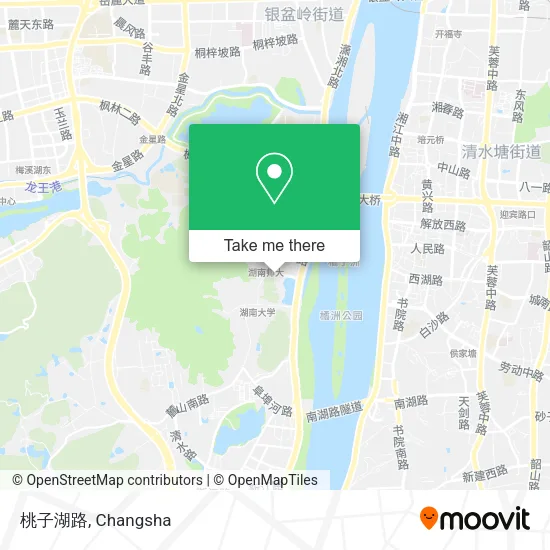 桃子湖路 map