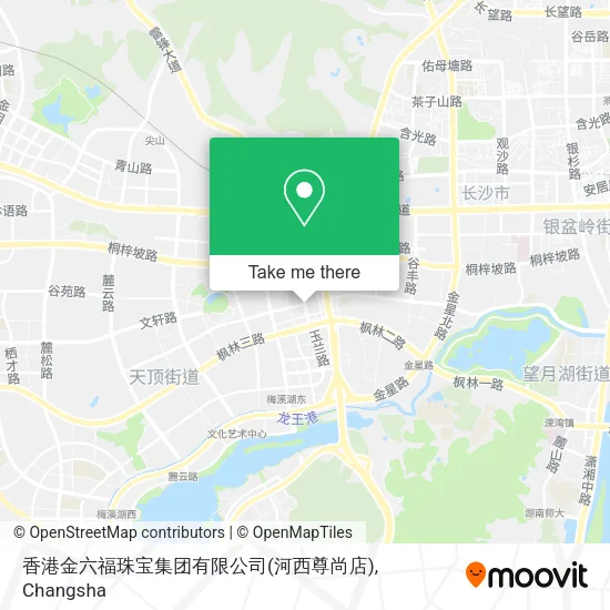 香港金六福珠宝集团有限公司(河西尊尚店) map