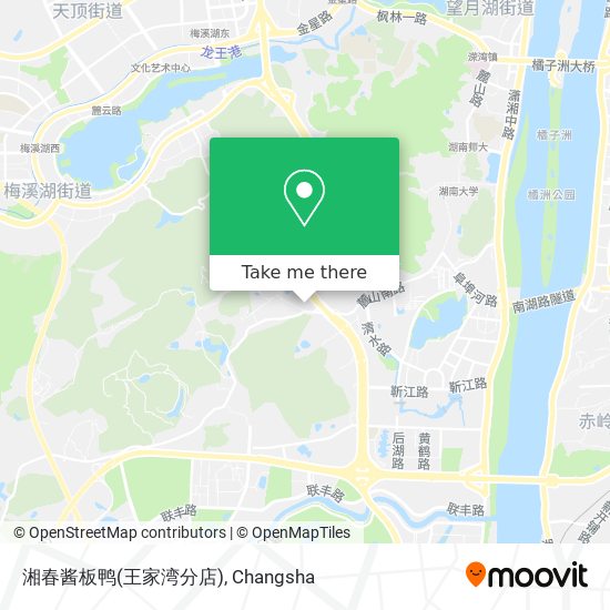 湘春酱板鸭(王家湾分店) map