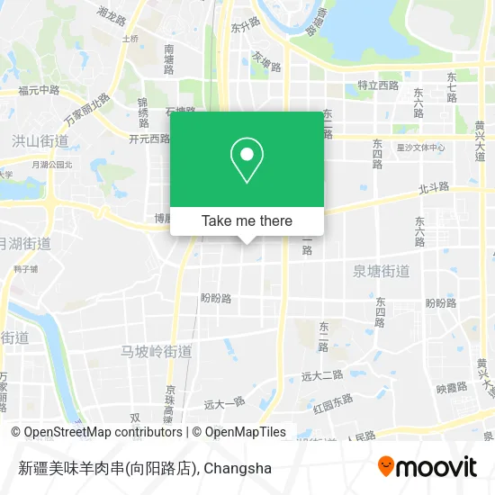 新疆美味羊肉串(向阳路店) map
