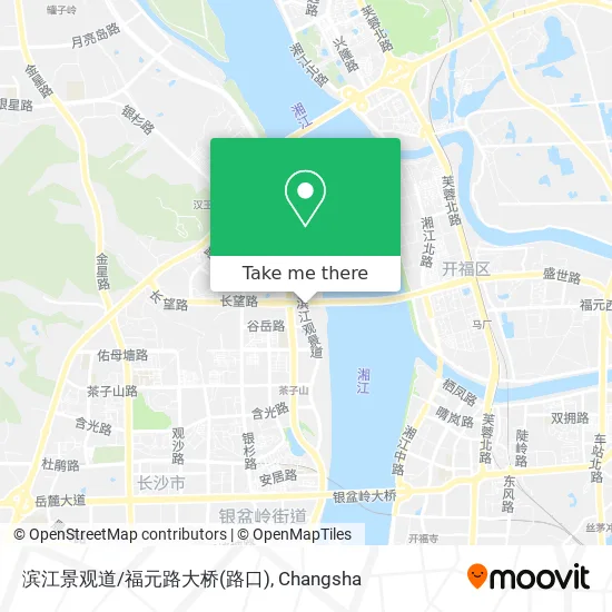 滨江景观道/福元路大桥(路口) map