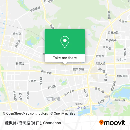 麓枫路/沿高路(路口) map