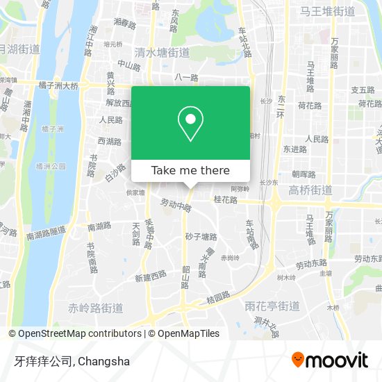 牙痒痒公司 map