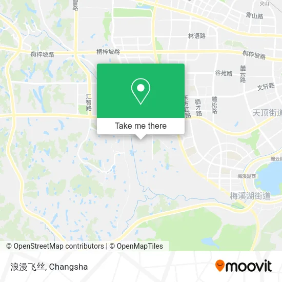 浪漫飞丝 map