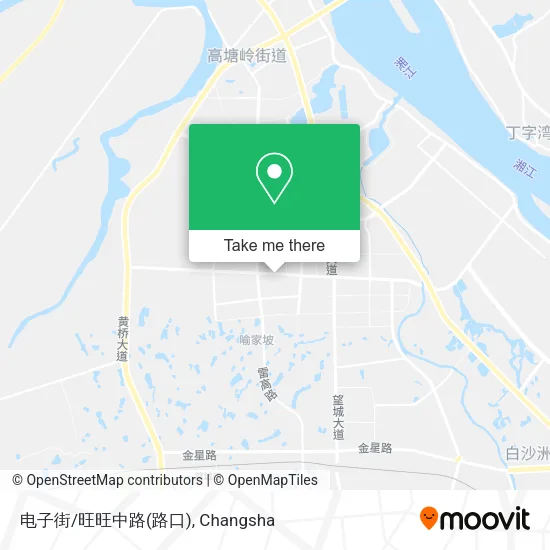 电子街/旺旺中路(路口) map