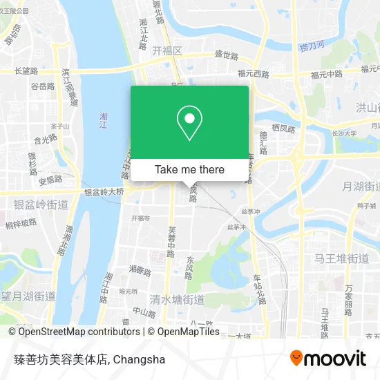 臻善坊美容美体店 map