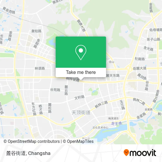 麓谷街道 map