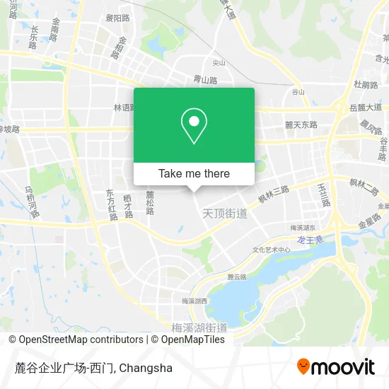 麓谷企业广场-西门 map