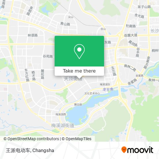 王派电动车 map