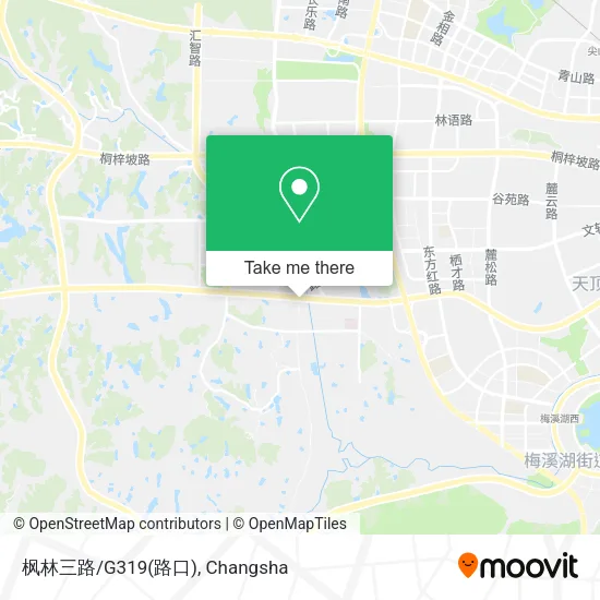 枫林三路/G319(路口) map