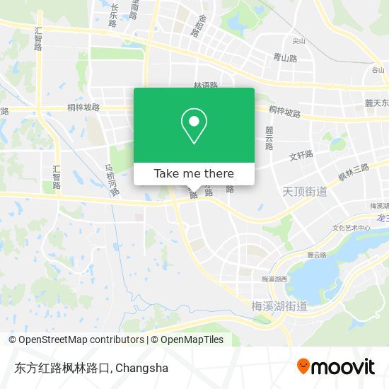 东方红路枫林路口 map