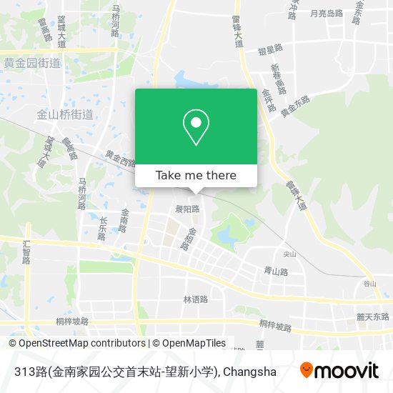 313路(金南家园公交首末站-望新小学) map