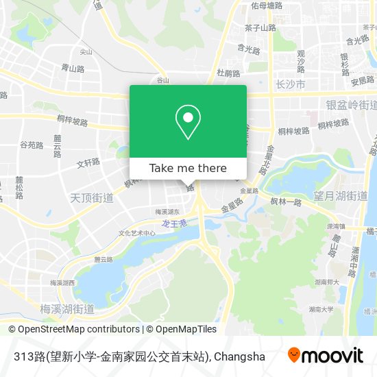 313路(望新小学-金南家园公交首末站) map