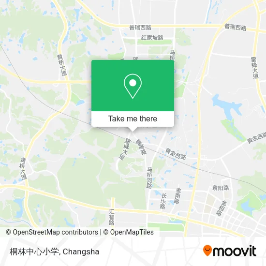 桐林中心小学 map