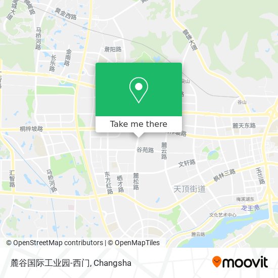 麓谷国际工业园-西门 map