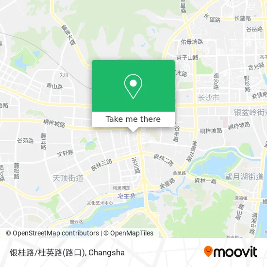 银桂路/杜英路(路口) map