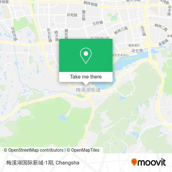 梅溪湖国际新城-1期 map